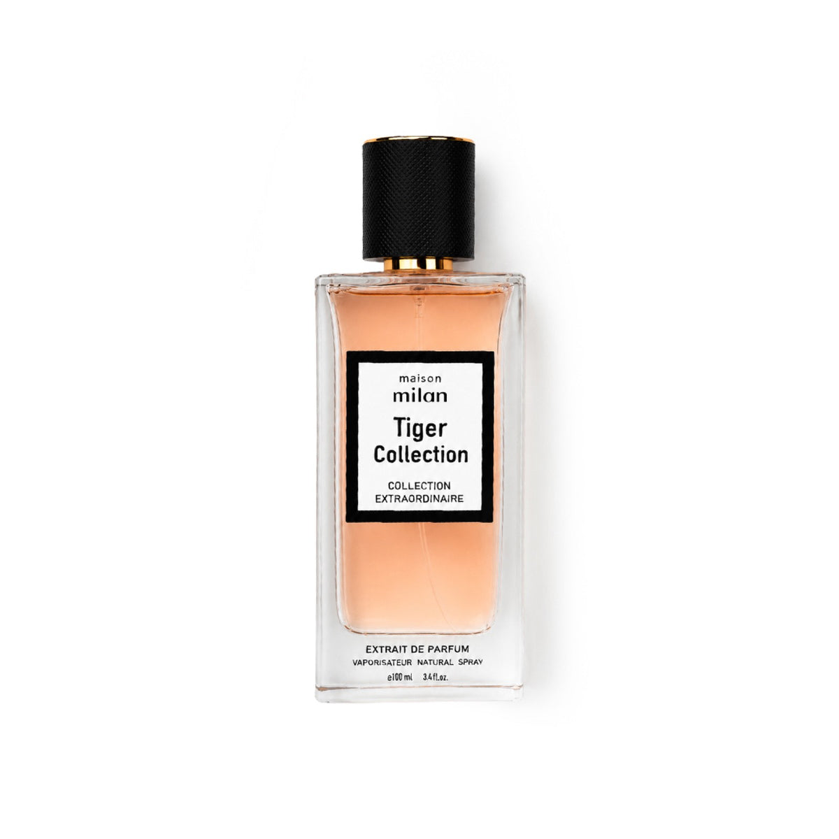 Tiger Collection by Maison Milan